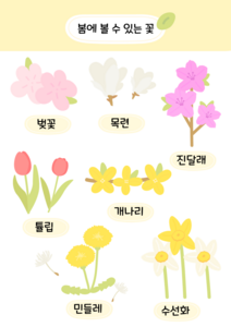 봄에 볼 수 있어요(꽃) 활동지