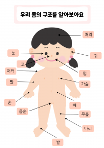 신체